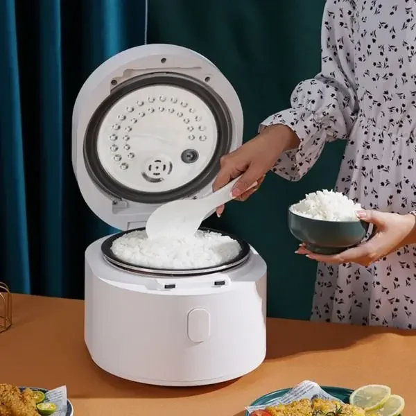 Panela de Arroz Inteligente 11 - Kitchen Appliances Canada avaliação e preço